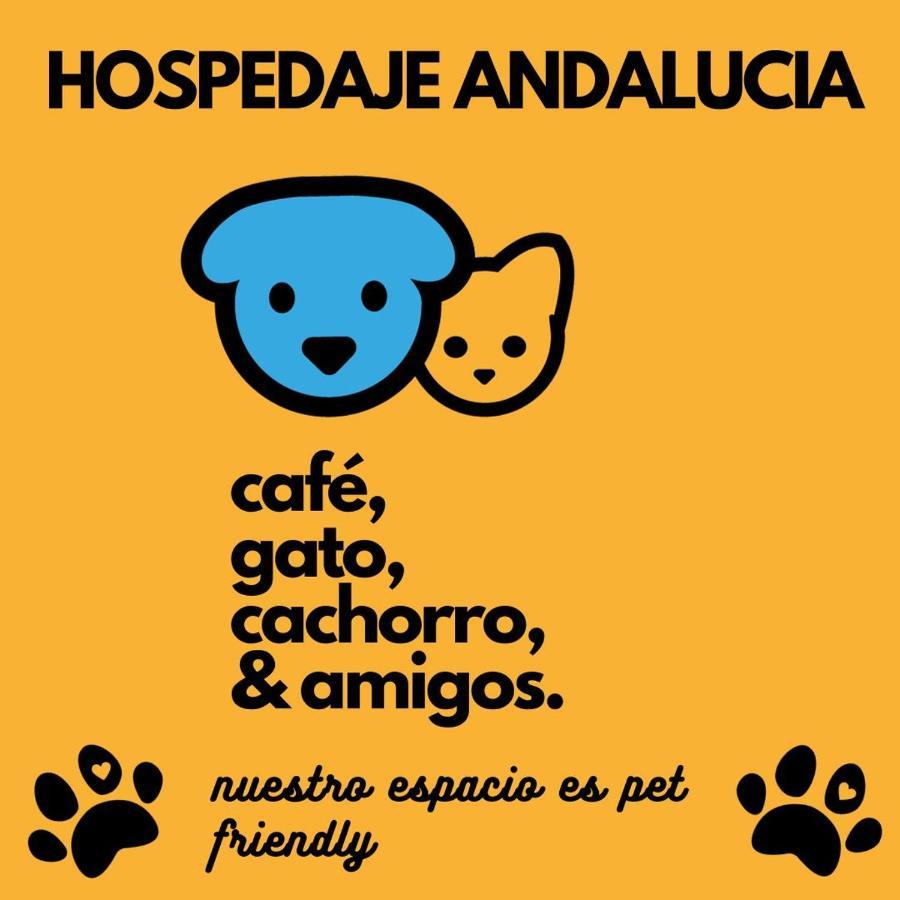 Casa Andalucia Hostel Florianópolis Exterior foto